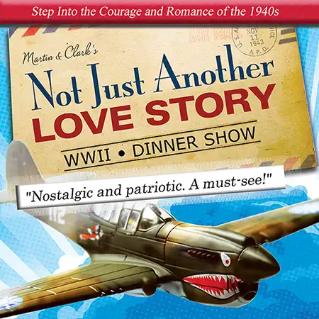 world war 2 dinner show image with plane