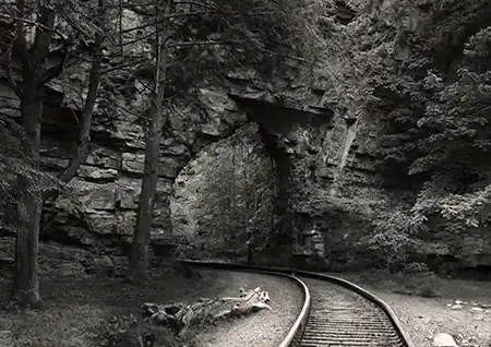 backbone rock 1900's