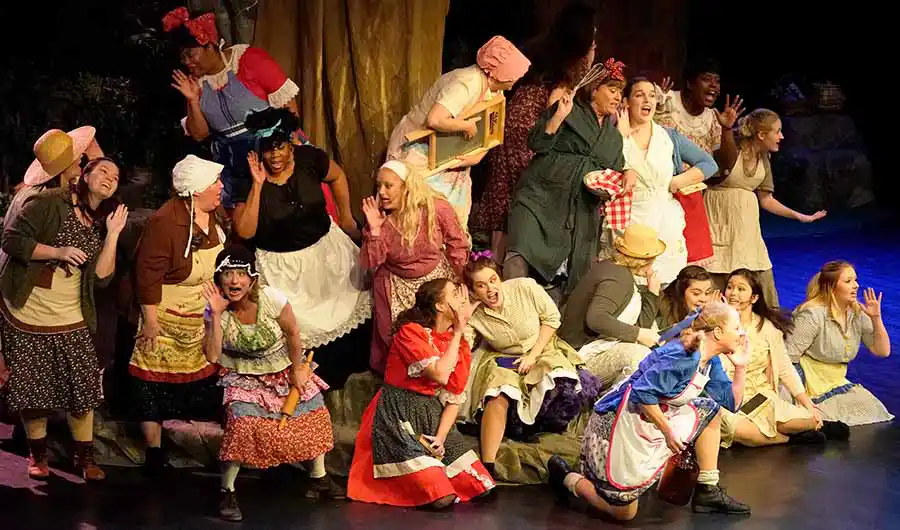 Country ladies singing