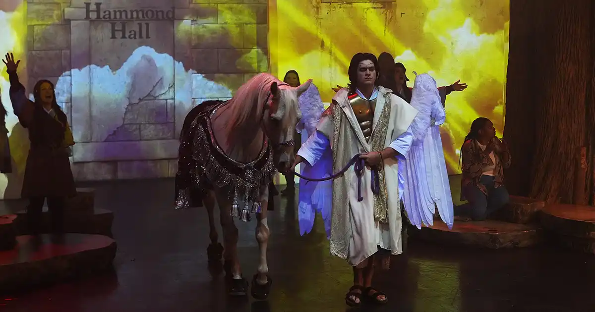 Arabian horse entering the stage